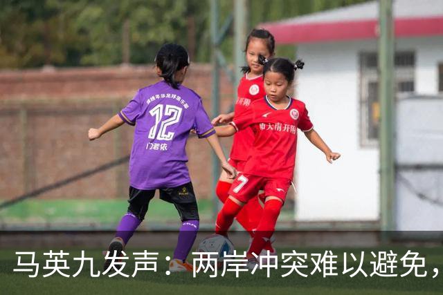 马英九发声：两岸冲突难以避免，但台湾不可能成为乌克兰